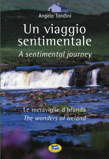 Un viaggio sentimentale. A sentimental journey